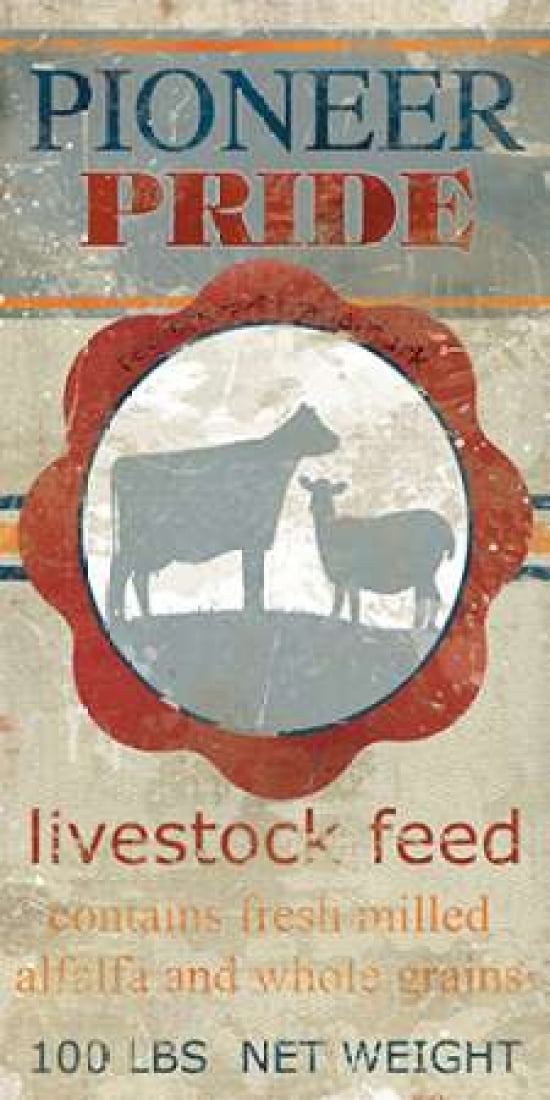 Feed Sack I Canvas Art - Carol Robinson (24 x 48)
