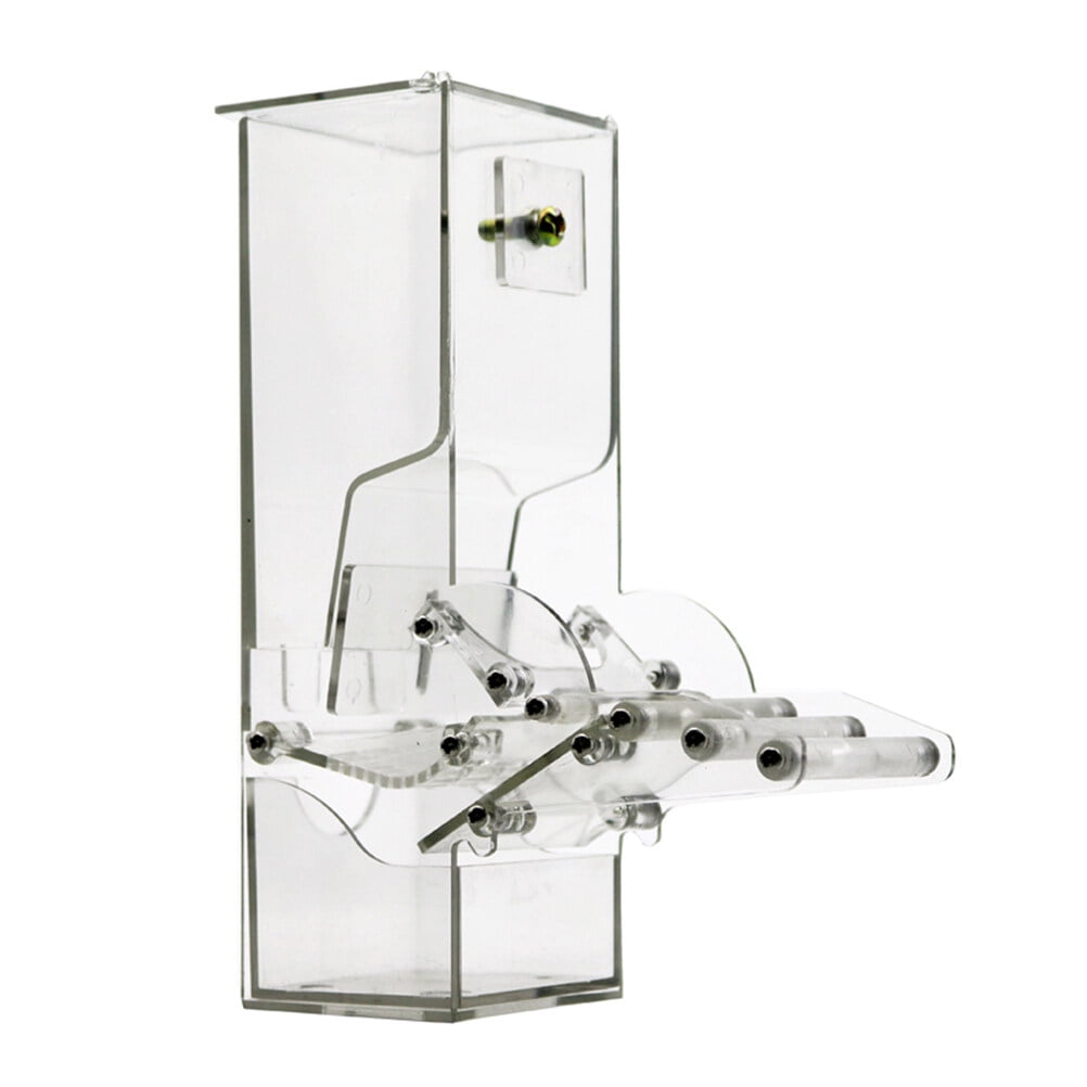 Feeder Bird Automatic Feeders Bird Food Container Bird Food Feeders for Pigeons Parrot Starling