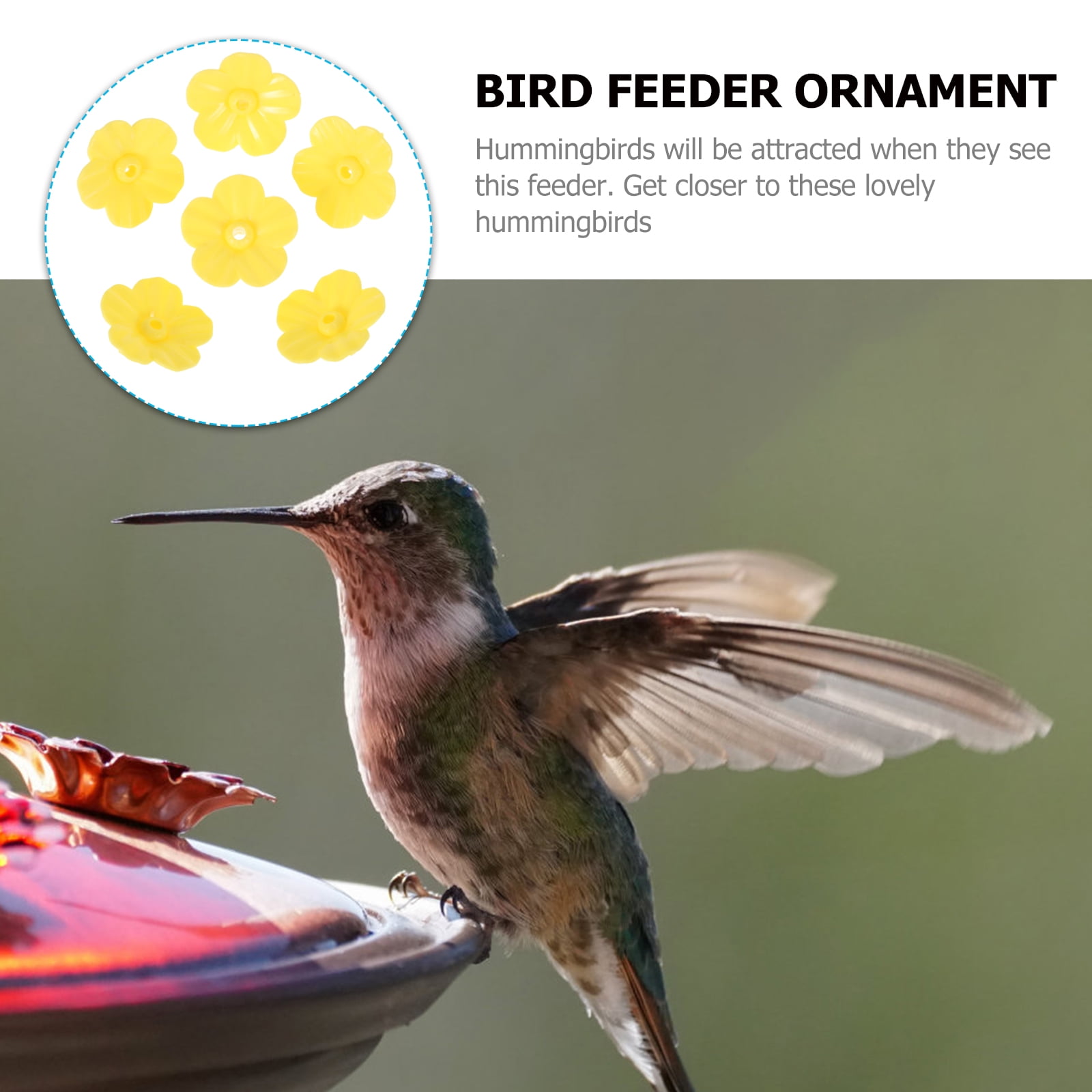 Feeder Hummingbird Bird Flowerswild Feeder Flower Parts Feeders Stand