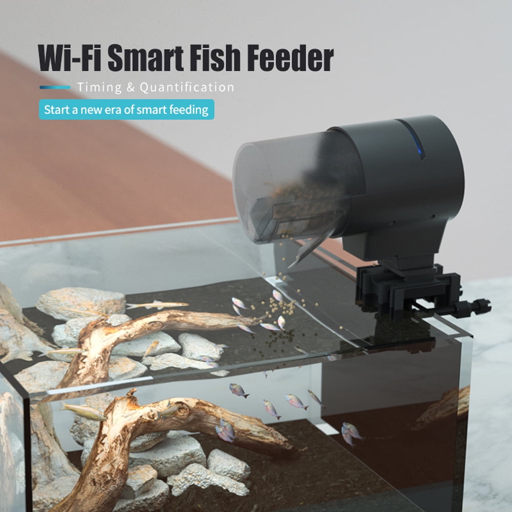 Automated Goldfish Aquarium Systems photo