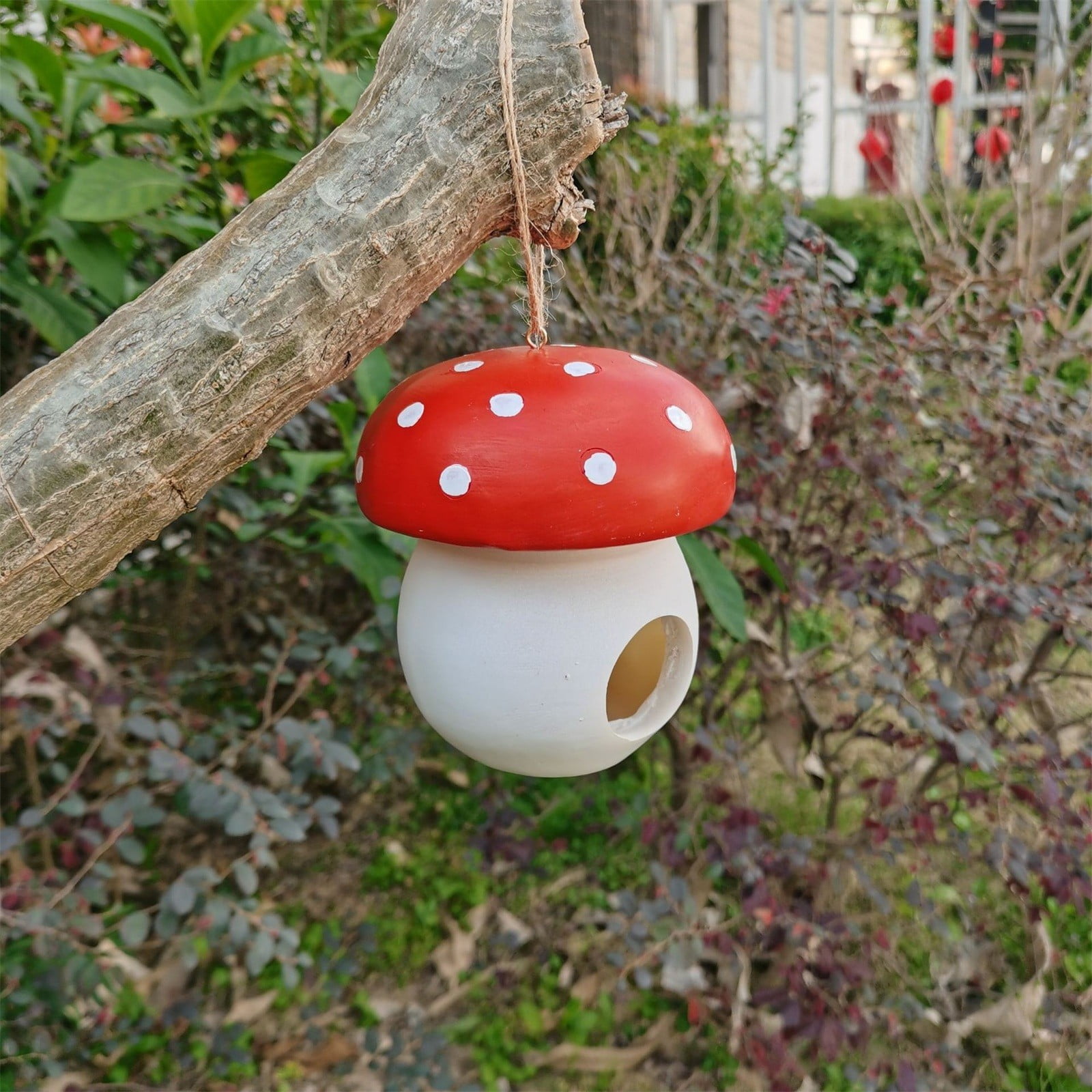 Feeders for Large Birds Suet Feeders for Birds Clear Birdhouse for