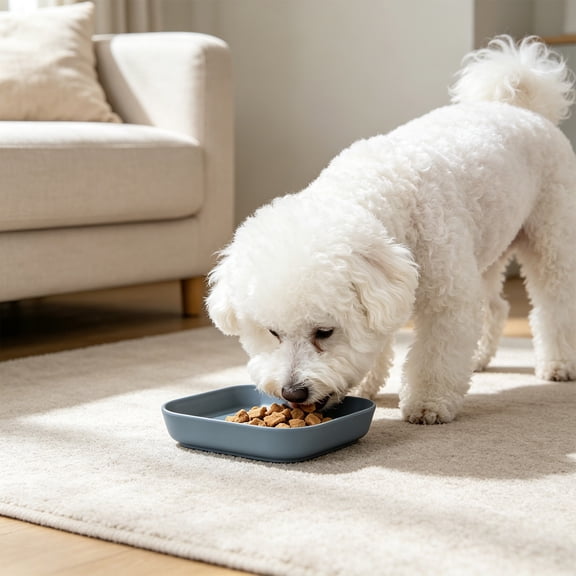 Feeding Bowl Square Shallow Pet Snack Plate Smooth Clean Design Suitable For Dry Meals Wet Diets For Cats And Dogs,5.71x5.71in
