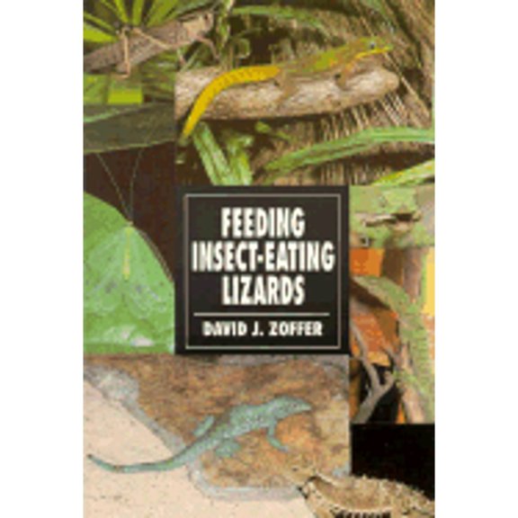 Pre-Owned Feeding Insect Eating Lizards (Paperback) 9780793802685