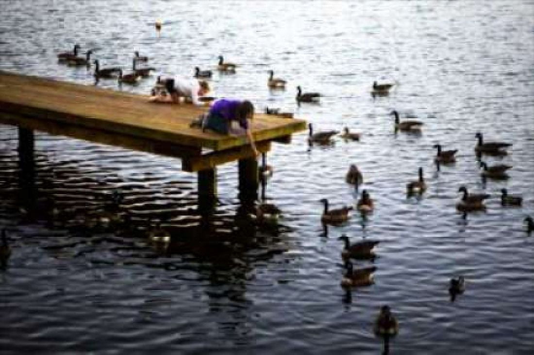 Feeding the Geese IV Canvas Art - Alan Hausenflock (24 x 36)