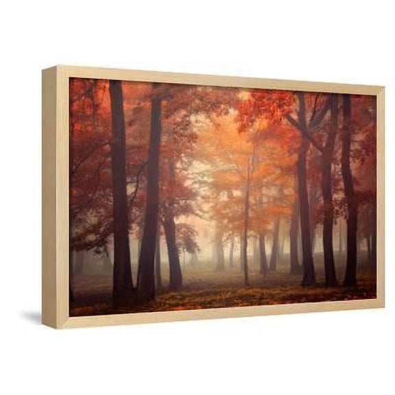 Feel, Framed Art Print Wall Art by Ildiko Neer Sold by Art.Com