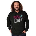 thumbnail image 1 of Feel the Illinois Funny Cool Lincoln Unisex Plus Fleece Graphic Hoodie Brisco Brands 2X, 1 of 5