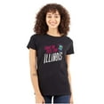 thumbnail image 1 of Feel the Illinois Funny Cool Lincoln Womens Fitted Plus Size Graphic Tee Brisco Brands 2X, 1 of 5