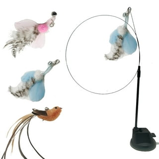 https://i5.walmartimages.com/seo/Feelers-Cat-Toy-Suction-Cup-3-Pack-Cat-Toys-with-an-Upgraded-Suction-Cup-Cat-Teaser-Wand-Toys-Pink-Blue-Flying-Insect-Whidah-Bird_50d788a5-49bd-4754-91d9-288982bfa306.eba6dc5f99707fae86d047b99b681d83.jpeg?odnHeight=320&odnWidth=320&odnBg=FFFFFF
