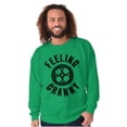 thumbnail image 1 of Feeling Cranky Bicycle Crank Cyclist Sweatshirt for Men or Women Brisco Brands S, 1 of 6