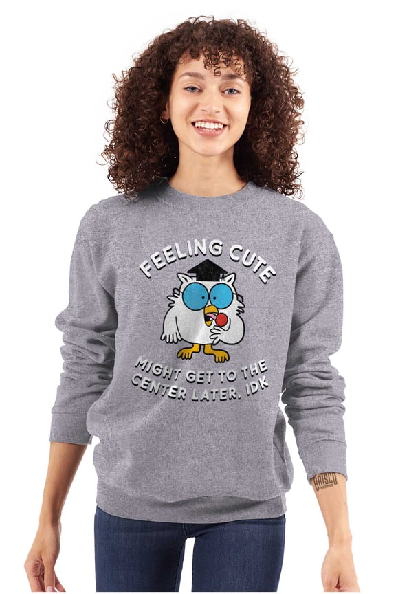 Feeling Cute IDK Meme Mr. Owl Funny Women Crewneck Sweatshirt Brisco Brands S