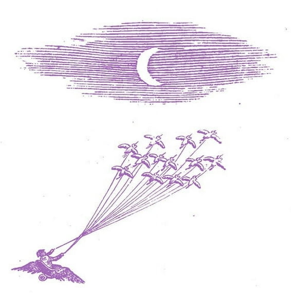 Feeling Figures - Migration Magic - Music & Performance - Vinyl