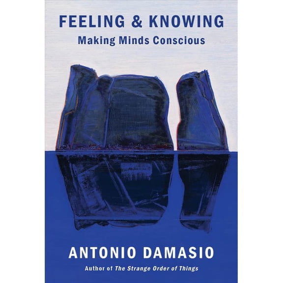 Pre-Owned Feeling & Knowing: Making Minds Conscious (Paperback) 0525563075 9780525563075