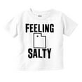thumbnail image 1 of Feeling Salty Utah Beehive State Toddler Boy Girl T Shirt Infant Toddler Brisco Brands 6M, 1 of 6