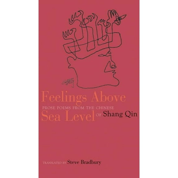 Feelings Above Sea Level: Prose Poems from the Chinese of Shang Qin (Paperback)