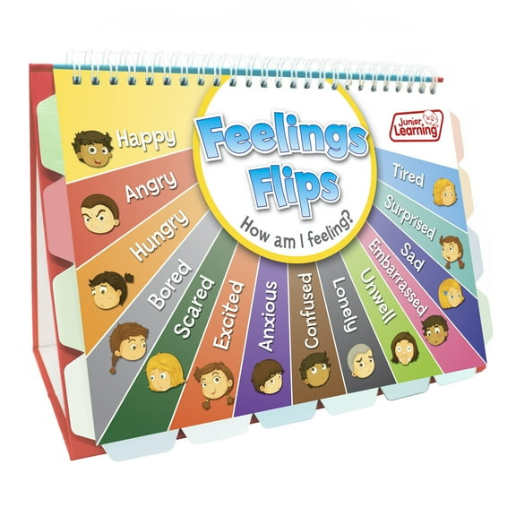 Feelings Flips Junior Learning for Ages 4-8 Pre Kindergarten to Grade 1 Learning, Character Education, Perfect for Home School, Educational Resources