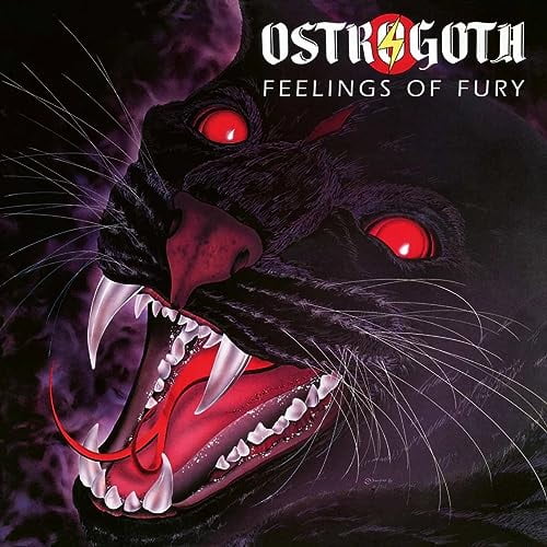 Feelings of Fury (LP)