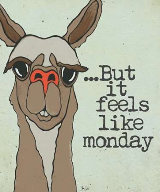 Feels Like Monday Canvas Art - Shanni Welsh (20 x 24)