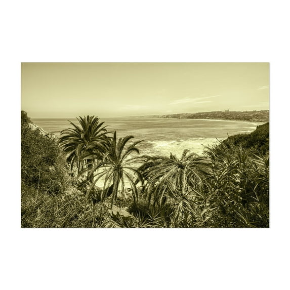 Feels Vintage, La Jolla - San Diego California Photography Palm Tree Coast Beach Ocean Tropical Nature Landscape Unframed Wall Art Print 40 x 60 inches