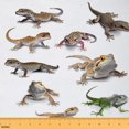 thumbnail image 1 of Feelyou 3D Lizard Fabric by the Yard 1 Yard, Jungle Wildlife Animal Home Decor Fabric by the Yard, Teens Boys Girls Kids Sewing Fabric, Lightweight Room Decor, 1 of 6