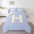 thumbnail image 1 of Feelyou Fashion Monogrammed H Queen Comforter Set for Girl, Modern Abstract Lines Bedding Sets, Cute Cartoon Reversible Bedding Comforter Set, Lightweight Room Decor, 3 Pieces, 1 of 8
