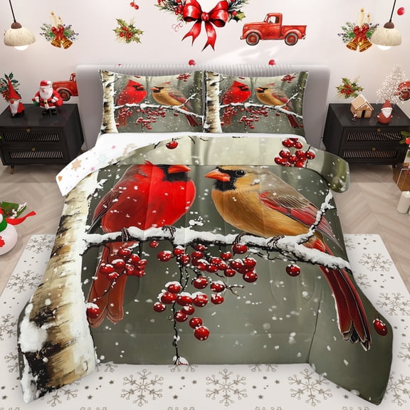 Feelyou Winter Robin Bird Queen Comforter Set, Kawaii Christmas Animal Bedding Sets, Happy New Year Reversible Bedding Comforter Set, Super Cozy Room Decor, 3pcs