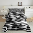 Feelyou Zebra Print Queen Comforter Set, Black and White Bedding Sets