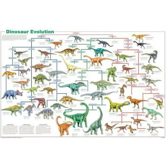 Feenixx Dinosaur Evolution 24” x 36” Poster, Vibrant Colors