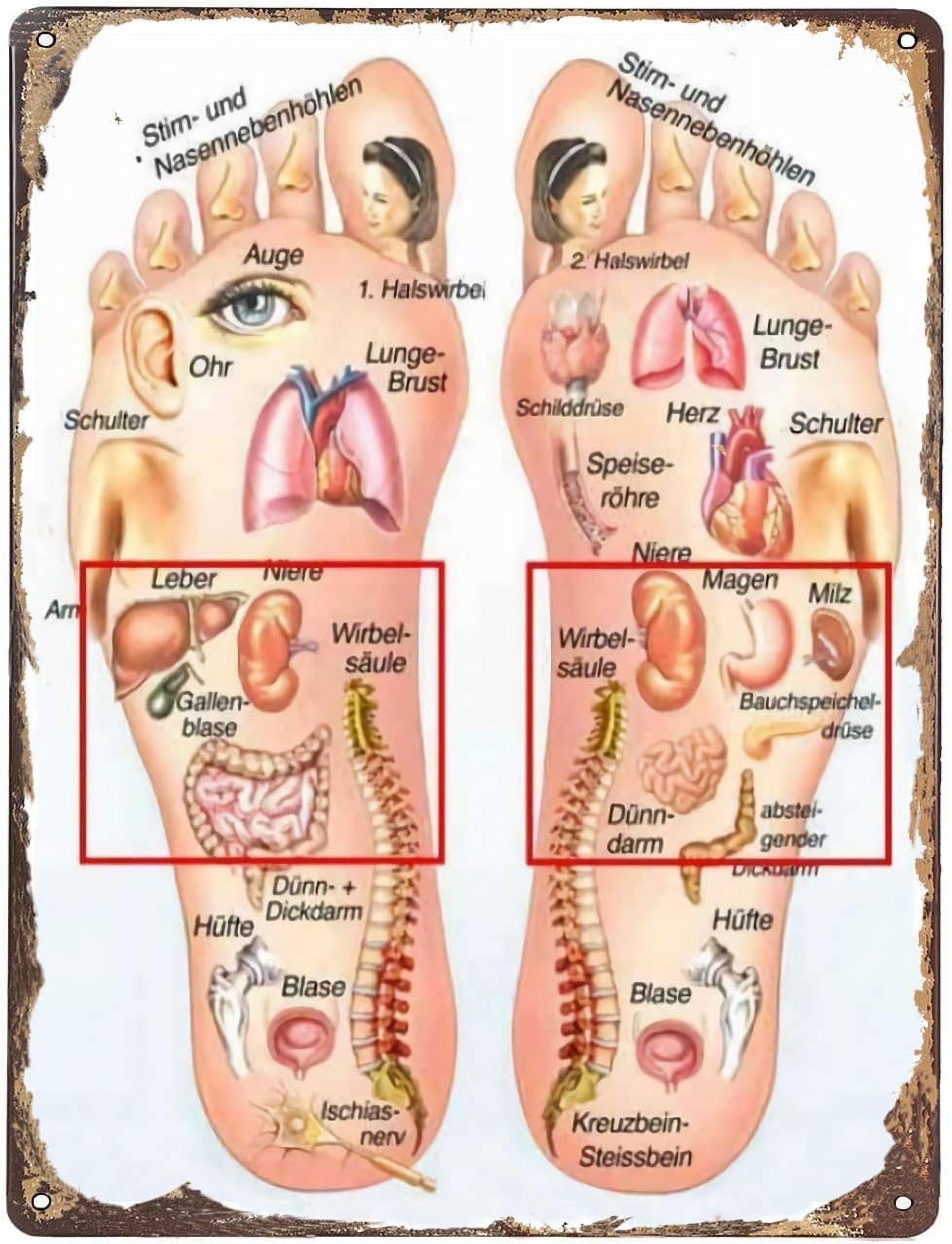 Old Ladies Diamond Painting Kit For Adults - 14x14 Inch Full Drill Round 5D DIY Craft, QCY-114