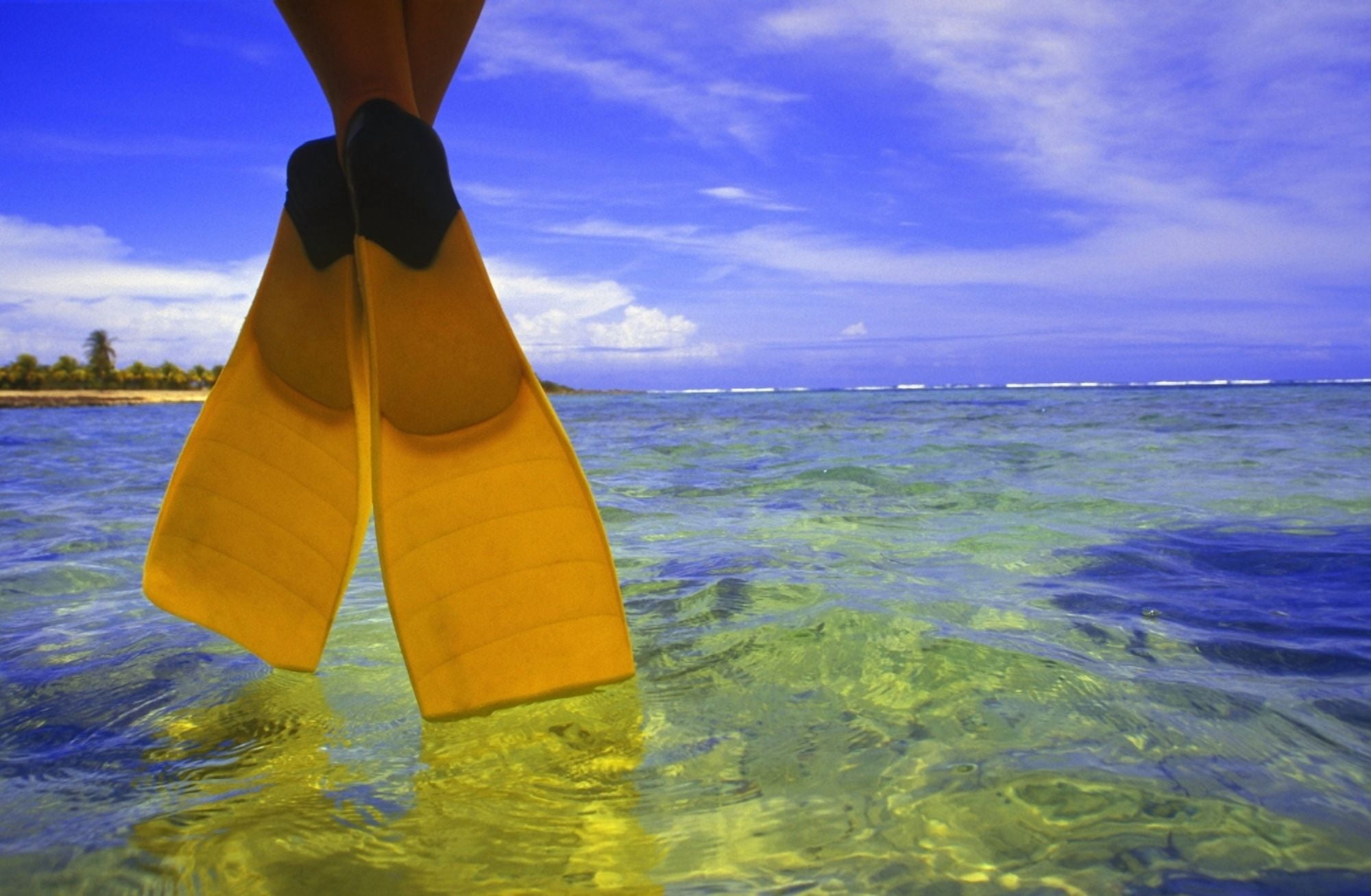 Feet With Flippers Hanging Above Water Canvas Art - Carson Ganci Design Pics (34 x 22)
