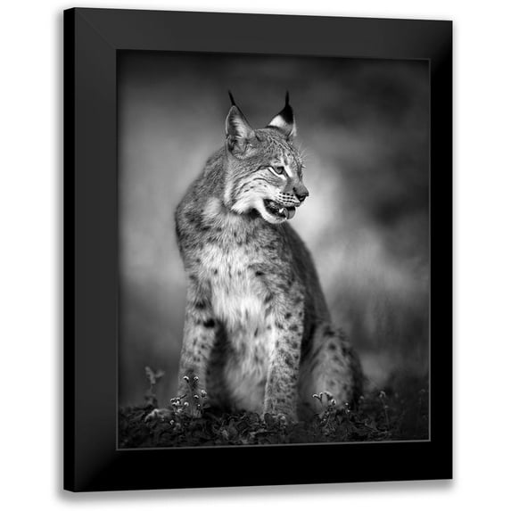 Fegari 12x14 Black Modern Framed Museum Art Print Titled - U N I Q U E