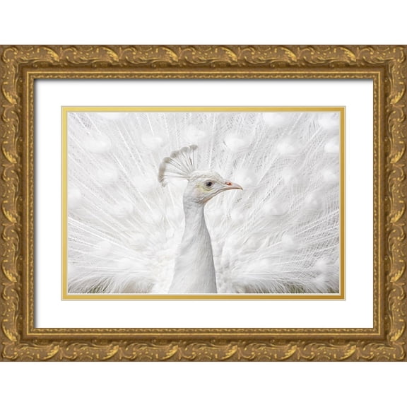 Fegari 18x13 Gold Ornate Wood Framed with Double Matting Museum Art Print Titled - Inmaculate