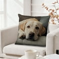 thumbnail image 1 of FeiFu 18x18in Cute Pet Printed Pillow Cover Decorative Cushion Case for Bedroom Living Room Sofa Pillowcase for Home Sofa and Bedroom Decoration(Excluding Pillow Core), 1 of 6