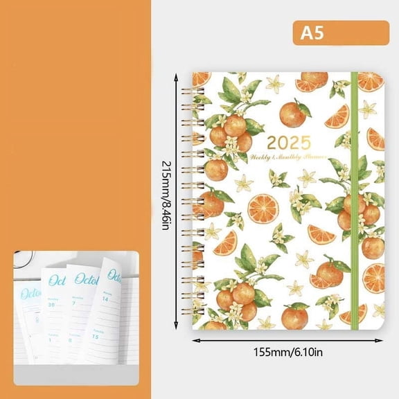 FeiFu Planner: A Monthly, Weekly & Daily Planner for Planning Your Success A5 Size Hardcover Anytime and Achieve your Goals as show