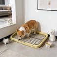 thumbnail image 1 of FeiFu Dog Potty Tray, Mesh Training Toilet Potty Tray Removable Stable Structure Dog Training Toilet Potty Training Tray Bathroom Dog Litter Box for Small Medium Dog, 1 of 6