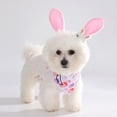 thumbnail image 1 of FeiFu Easter Pet Scarf with Headband Set Cute Holiday Themed Pet Collar Headwear for Small Medium Dogs Rabbits Pet Party Decor Accessory, 1 of 6