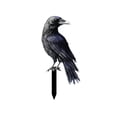 thumbnail image 1 of FeiFu Halloween Decorations Outdoor Yard Stakes Garden Party Supplies Outdoor Weather Proof Decor for Outside Garden Patio Party Decorations, 1 of 6