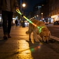 thumbnail image 1 of FeiFu LED Light-Up Dog Leash USB Rechargeable Luminous Traction Rope Adjustable Reflective Pull Strap Glow in the Dark Safety Leash for Night Walking, 1 of 6