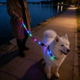 thumbnail image 1 of FeiFu LED Light-Up Dog Leash USB Rechargeable Luminous Traction Rope Adjustable Reflective Pull Strap Glow in the Dark Safety Leash for Night Walking, 1 of 6