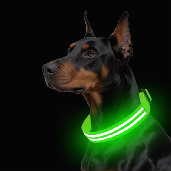 FeiFu LED Pet Collar for Dogs Double Optical Fiber Luminous Collar USB Rechargeable Glow in the Dark Collar Adjustable Safety Collar for Night Walking