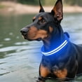 thumbnail image 1 of FeiFu LED Pet Collar for Dogs Double Optical Fiber Luminous Collar USB Rechargeable Glow in the Dark Collar Adjustable Safety Collar for Night Walking, 1 of 7