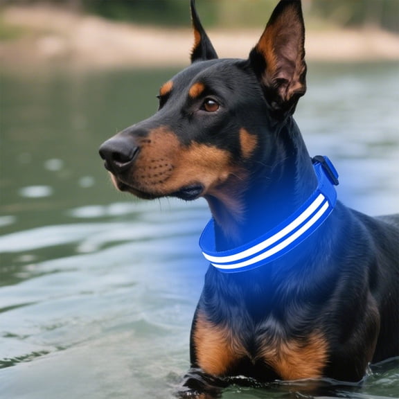 FeiFu LED Pet Collar for Dogs Double Optical Fiber Luminous Collar USB Rechargeable Glow in the Dark Collar Adjustable Safety Collar for Night Walking
