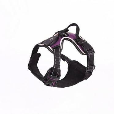 Feierber Luminous Pet Harness Adjustable LED Lighted Dog Harness Rechargeable Glowing Pet Chest Strap Night Walking