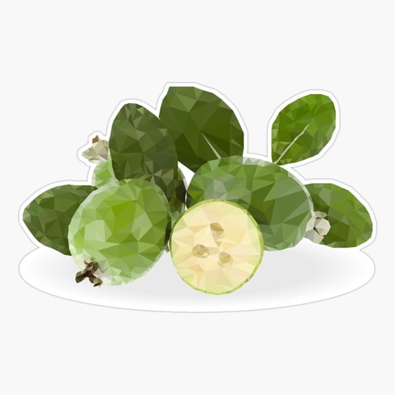 Feijoa Fruit Er, Phone Decal Water Bottle Stickers Car Decals, Funny Birthday Gift