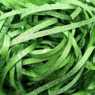 Mint Green Raffia Ribbon – BonBon Paper ™