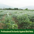 Feinib Clearance! BirdProof Net Netting Kitstrong and Durable