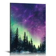 Feiri Bedroom Wall Decor Northern Lights Wall Art Aurora Borealis Home Decor Winter Finland Lapland Wall Decorations for Living Room Aurora Bedroom Decor Modern Framed Ready to Hang  12x16 in