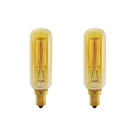 Feit Electric 40-Watt T8 Dimmable Incandescent Amber Vintage Edison Light Bulb