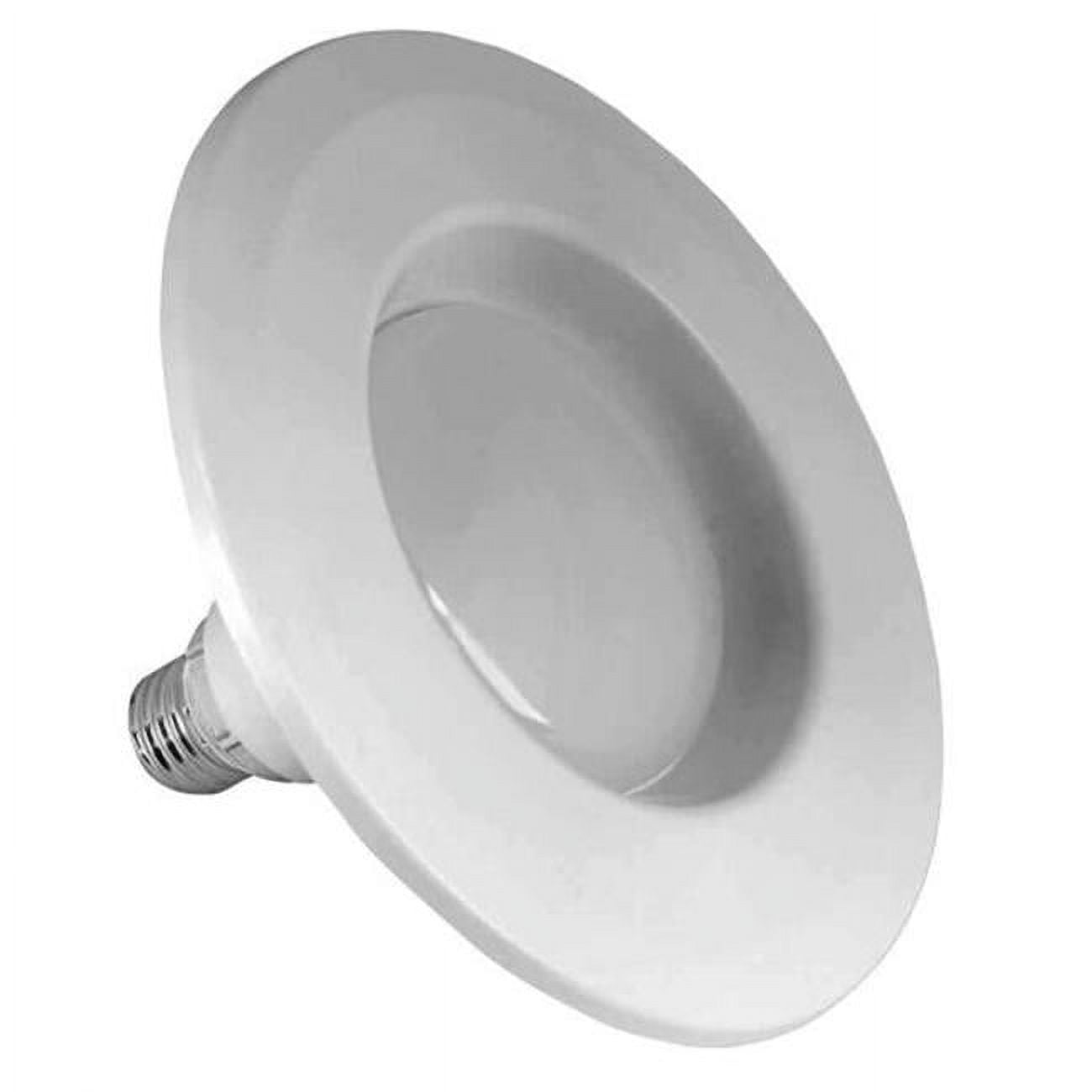 White Adjustable Neck LED Recessed Downlight, 4-inch, 2-Pack