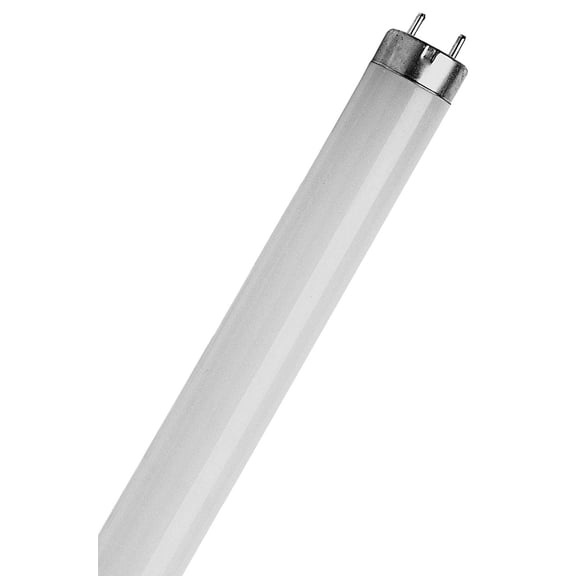 Feit Electric Cool White T8 18" Fluorescent Tube, 15W
