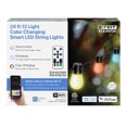 thumbnail interactive-video image 1 of Feit Electric Corded Outdoor 24' Foot 12 Light Color Changing Smart RGB  LED String Light, 1 of 14